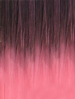 T1B/VPINK